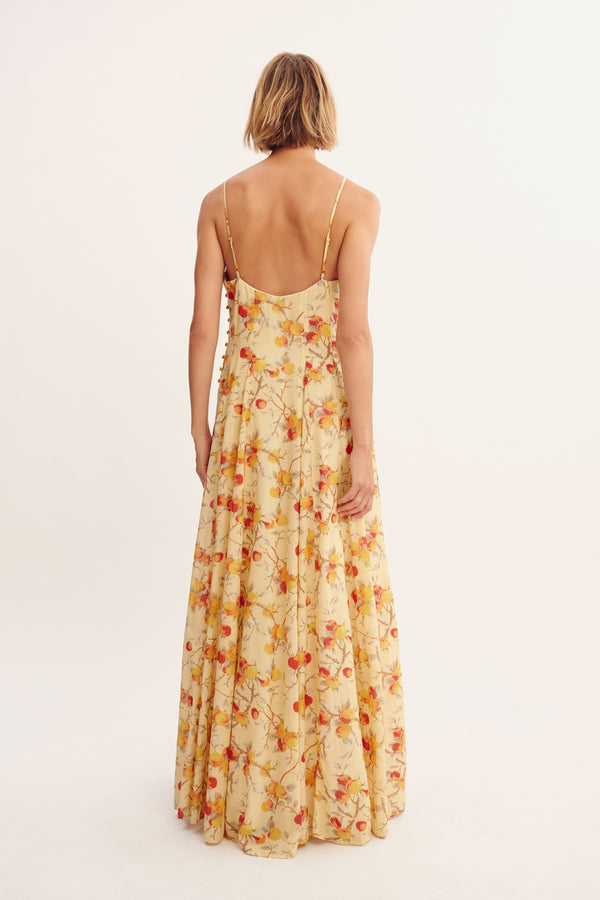 PALOMA MAXI DRESS - CITRUS FLORAL